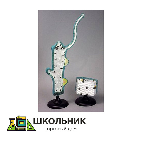 Модель "Гидра"