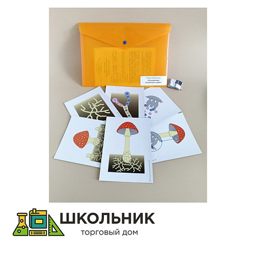 Модель-аппликация Размножение шляпочного гриба