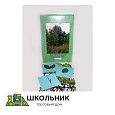 Гербарий "Растительные сообщества" (9 видов х 5 планшетов)