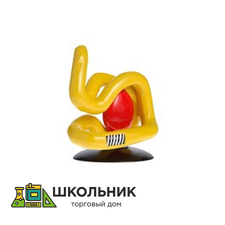  Модель "Молекула белка"