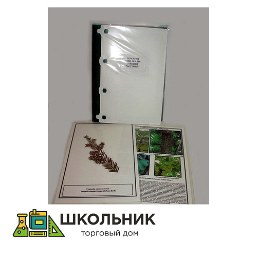 Гербарий "Эволюция высших растений" (лам.) 