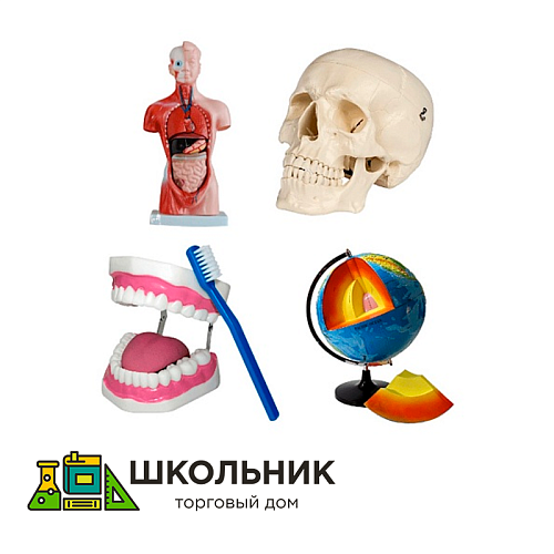 2.1.43. Модели объёмные демонстрационные для начальных классов