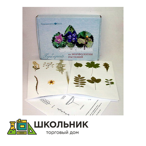 Гербарий "Морфология растений" (5 тем х 3 листа) формат А-3