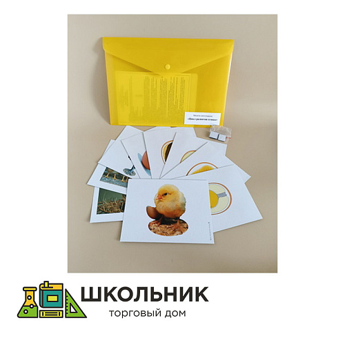 Модель-аппликация Цикл развития птицы