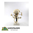 Модель "Кости черепа" (смонтированный на одной подставке)