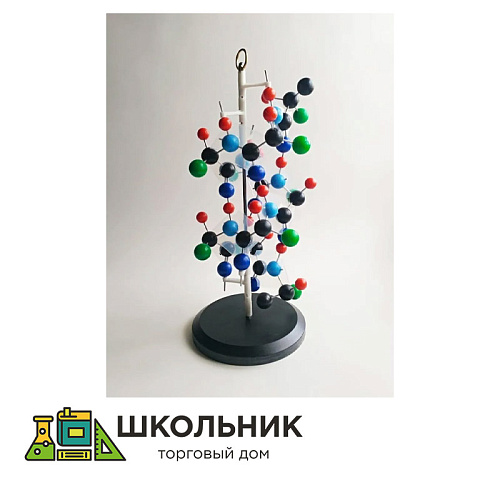 Модель "Структура белка"