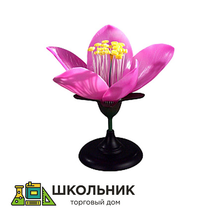 Модель "Цветок персика"