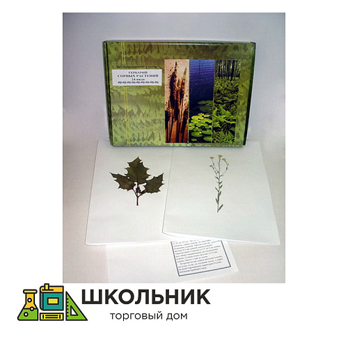 Гербарий "Сорные растения" (24 вида) формат А-3
