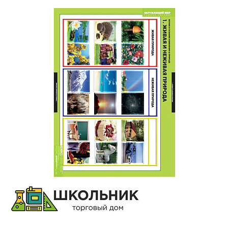 Летние и осенние изменения в природе