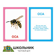 Логопедические картинки для автоматизации звука "С" (комплект 30 шт)