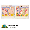 Модель "Кожа человека"