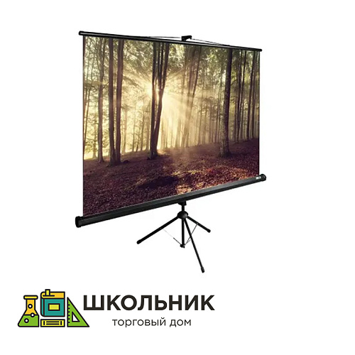 Экран напольный