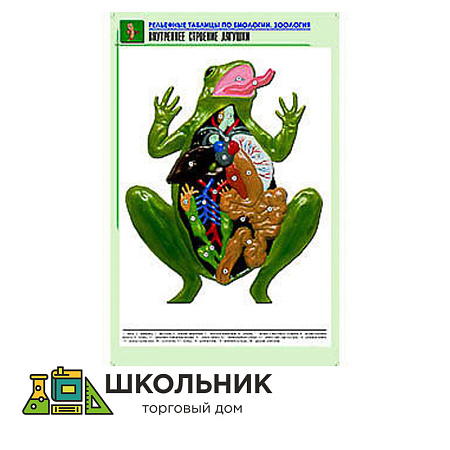 Рельефная таблица "Внутреннее строение лягушки"