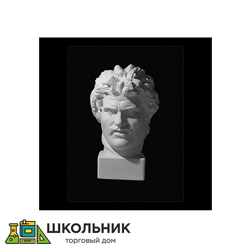 Голова галла