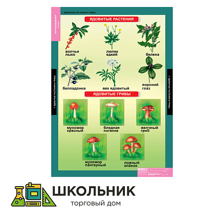 Окружающий мир 2 класс