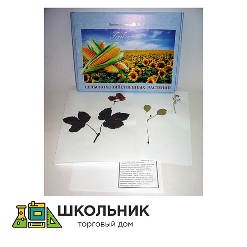 Гербарий "Сельскохозяйственные растения" (28 видов) формат А-3