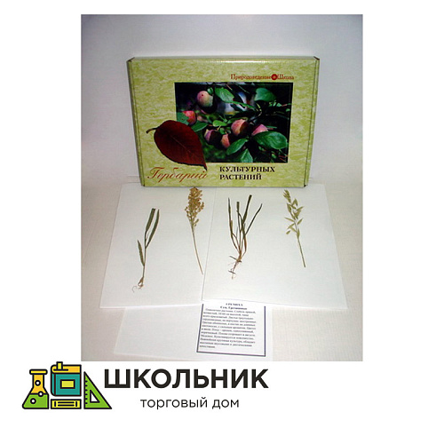 Гербарий "Культурные растения" (28 видов) формат А-3
