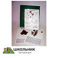 Гербарий к курсу основ общей биологии (20 листов) (лам.) формат А-4
