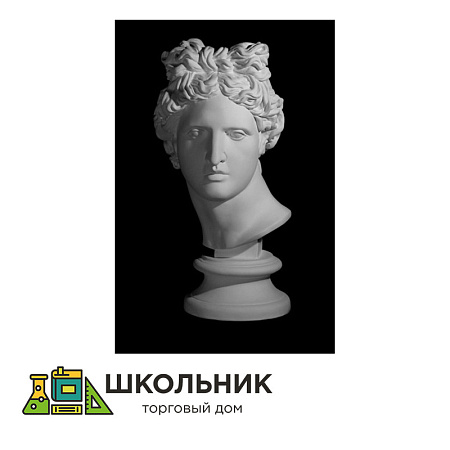 Голова Аполлона Бельведерского