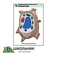 Рельефная таблица "Растительная клетка"