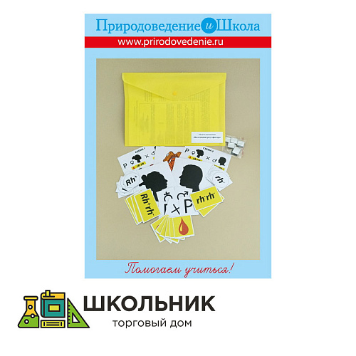 Модель-аппликация Наследование резус-фактора