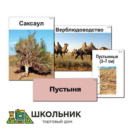 Модель-аппликация "Природные зоны России" (ламинированная)