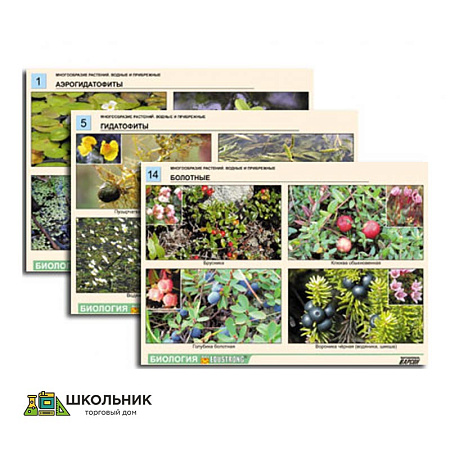 Комплекты таблиц по ботанике и зоологии «Многообразие растений», «Разнообразие животных»