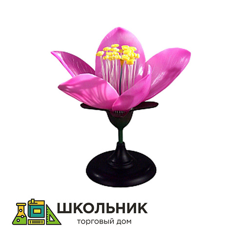 Модель "Цветок персика"