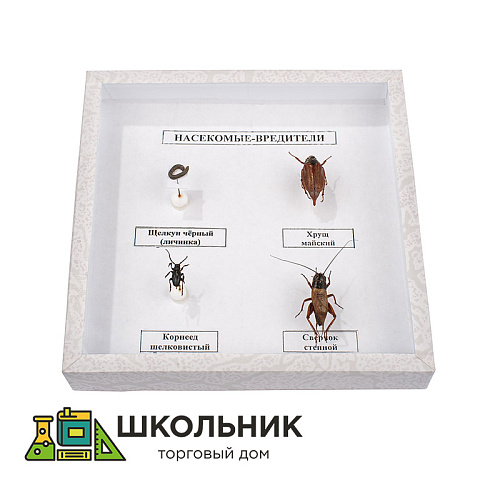 Коллекция энтомологическая "Насекомые вредители"