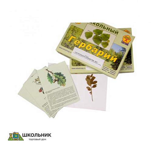 Гербарий «Растительные сообщества. Лес» (9 видов, 10 планшетов, с иллюстрациями и фотографиями)