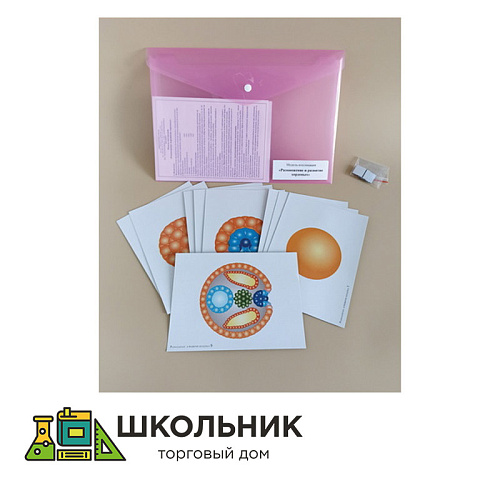 Модель-аппликация Размножение и развитие хордовых