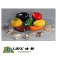 Коллекция "Плоды сельскохозяйственных растений" демонстрационная