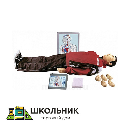 Тренажер сердечно-легочной и мозговой реанимации пружинно-механический с индикацией правильности выполнения действий, тестовыми режимами и настенным табло - манекен