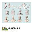 Набор моделей палеонтологических находок "Происхождение человека"