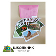 Модель-аппликация «Агроценоз»