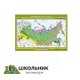 Учебная карта «Природные зоны России» 100х140