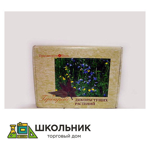 Гербарий "Дикорастущие растения" (28 видов) формат А-3