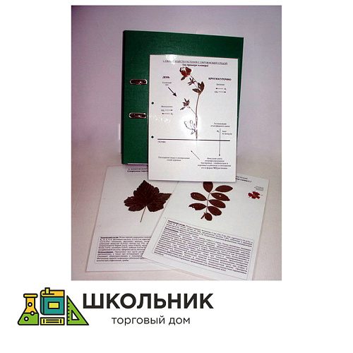 Гербарий к курсу основ общей биологии (20 листов) (лам.) формат А-4