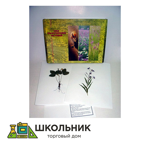 Гербарий "Лекарственные растения" (20 видов) формат А-3