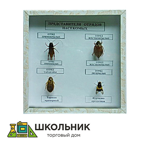 Коллекция энтомологическая "Представители отряда насекомых" 