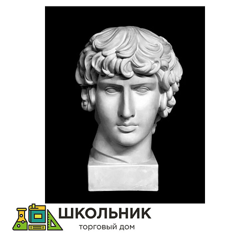 Голова Антиноя