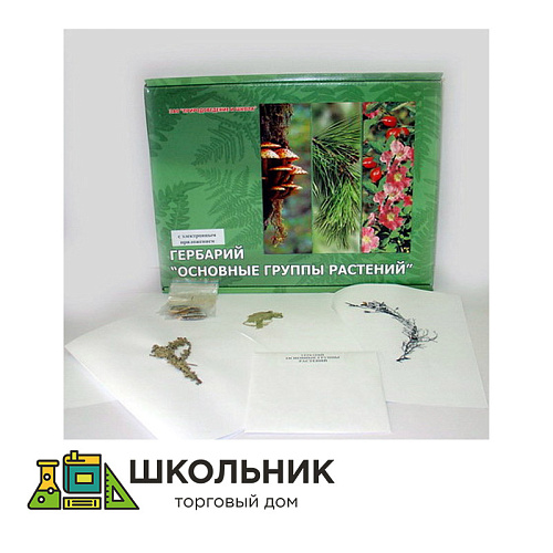 Гербарий "Основные группы растений" (52 листа) формат А-4