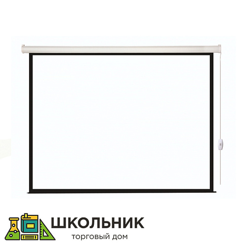 Экран с электроприводом