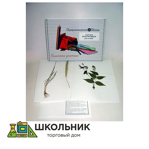 Гербарий "Кормовые растения" (20 видов) формат А-3